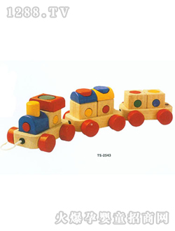 �����������TS2543