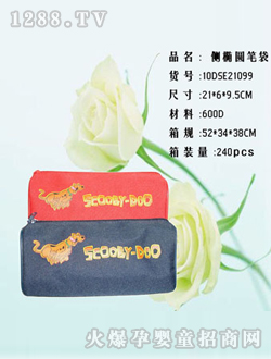 ��һ���ʴ�10DSE21099