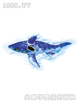 豆豆乐大唧唧樽|东莞市嘉盛日用塑料制品有限