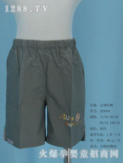 ú̿JH2004ɫ