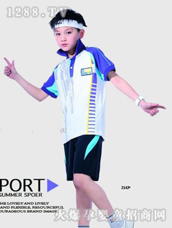 ˹ŵ���������ж�����װ