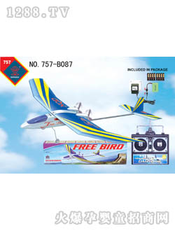 �������߷ɻ�757-B087