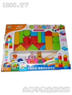 ������ǻ�ľ838-20