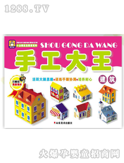 手工大王建筑图书