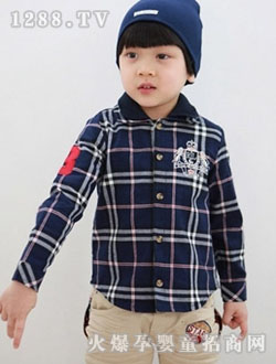 ��������ɫ������