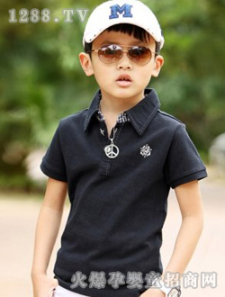 ���������ɫ����POLO��
