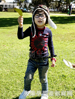 B2W2�ﶬ����T�������