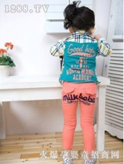 B2W2����ɫ�ǹ�Ǧ�ʿ�