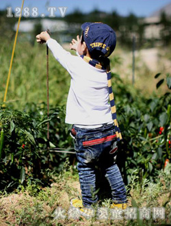 �����������ţ�п�