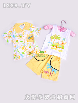 ⱦ䱳Ķɫװ9045