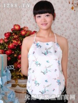 ���㱦��������������ӶǶ�JLY528C