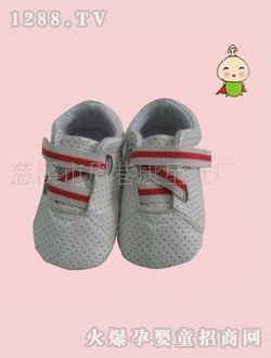 Ģ˱ѧЬZX9506
