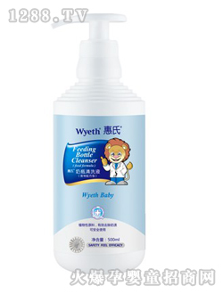 ������ƿ��ϴҺ500ml