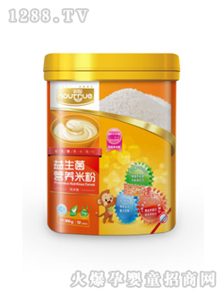 诺聪益生菌营养米粉(纯营养米粉)