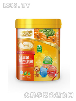 诺聪益生菌营养米粉(南瓜蔬菜口味)