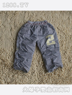 UND18�ļ�ͯ��WD2666