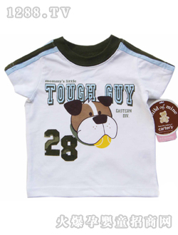 carters�����廨T��