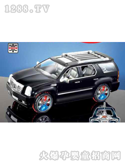 ����ң�س�2059MP