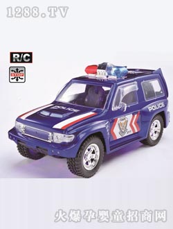 ����ң�س�2076P