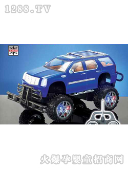 ����ң�س�2053MP