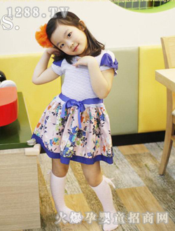 b2w2��������ȹ(����