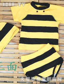 �ػ���ʹ�۷����Ͷ������Ӿ��