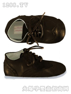 ���ϵ������Ьͭɫ