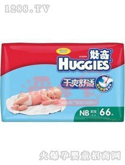 ˬֽNB66