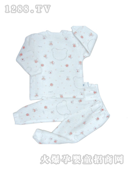 ��ʹ����ӡ��˫��в�翪������