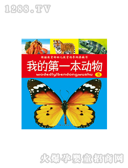 晨风我的第一本动物书图书