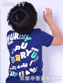 SANBOBO��ɫ���޶���T��