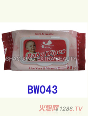 Ӥ��ʪ������80Ƭ