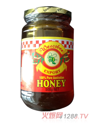 ά˹�ȴ���ȻҰ������500g