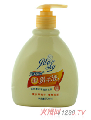 챦500mlϴҺ