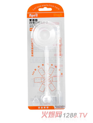 ���������ھ�������