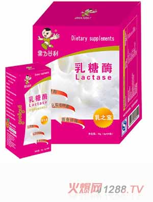 乳糖酶固体饮料