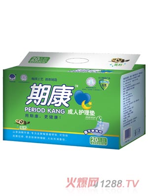 期康成人護理墊20片裝