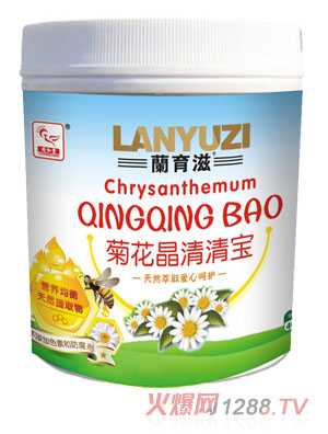 同和堂菊花晶清清宝