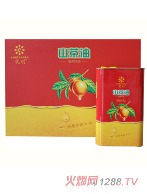 �Ŵ�yingyeɽ����