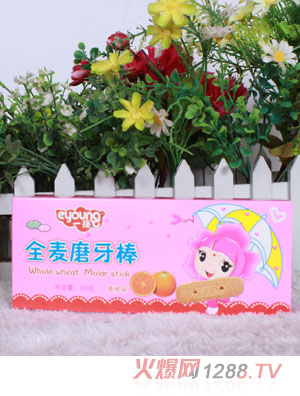 一扬香橙味全麦磨牙棒80克