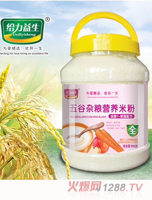 给力益生胡萝卜果蔬五谷杂粮营养米粉
