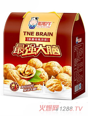 聪聪牛最强大脑原磨浓浆核桃箱装