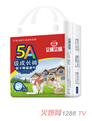 艾咪艾咪5A级拉拉裤 L码19片