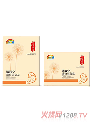 彩虹愛(ài)貝清焱寧蒲公英菊花