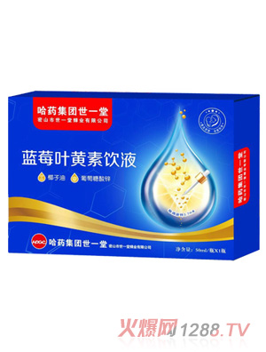 哈药蓝莓叶黄素饮液