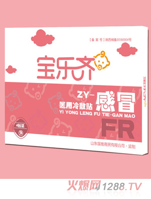 宝乐齐医用冷敷贴-风热感冒