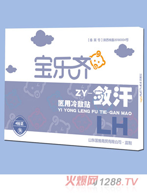 宝乐齐医用冷敷贴-敛汗