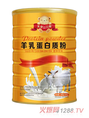 天使贝贝熊羊乳蛋白质粉