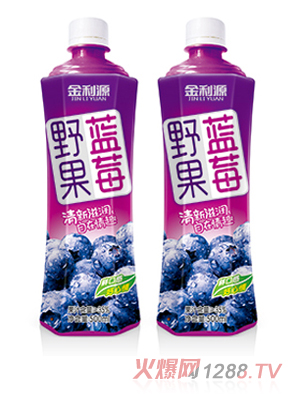 金利源野果蓝莓果汁 瓶装