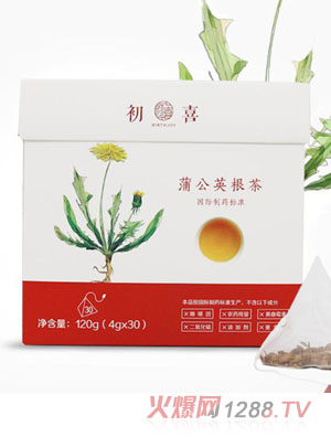 初喜蒲公英根茶